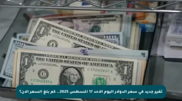 تغير جديد في سعر الدولار اليوم الأحد 17 أغسطس 2025.. كم بلغ السعر الآن؟